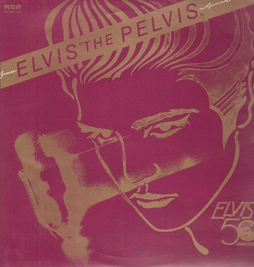 pelvis